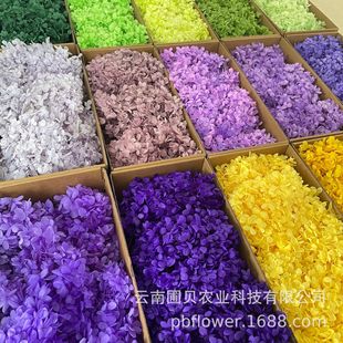 �������DIY�������򻨲�100g���S���l ��������ɢ�bľ�����ɫ