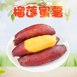 【严选】广西榴莲蜜薯 1/9斤新鲜沙地番薯红皮地瓜当季蔬菜非烟薯