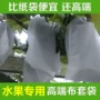 育苗防水防虫无纺布套袋