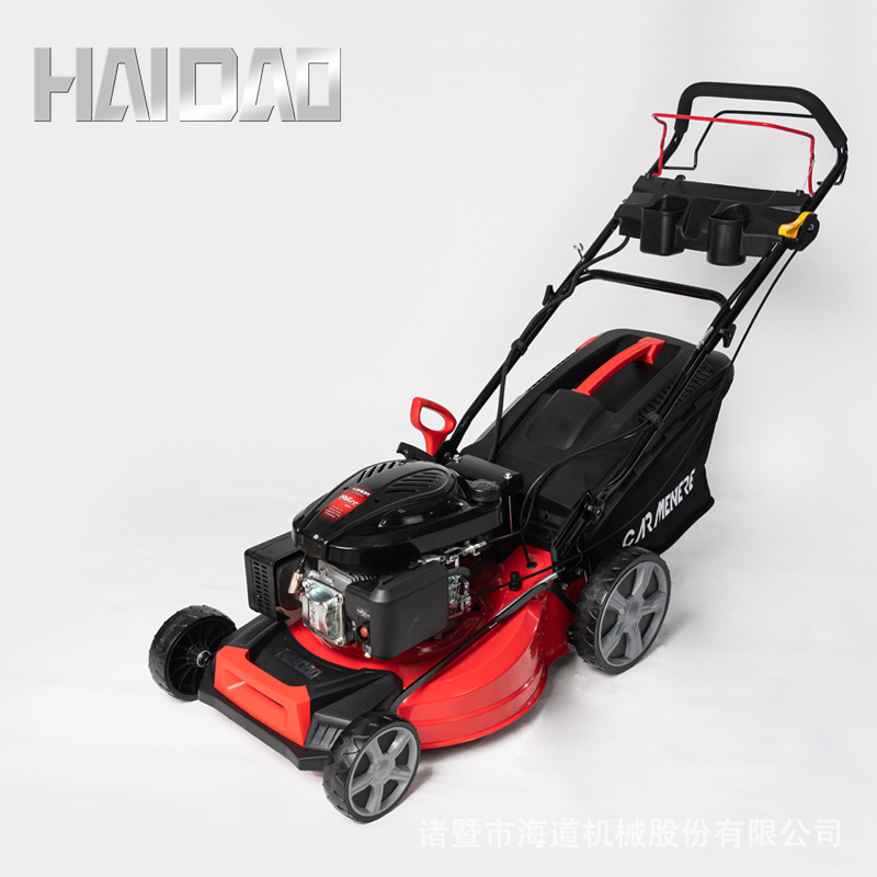 海道20寸隆鑫LC196草坪机电启动自走式割草机汽油除草剪草打草机