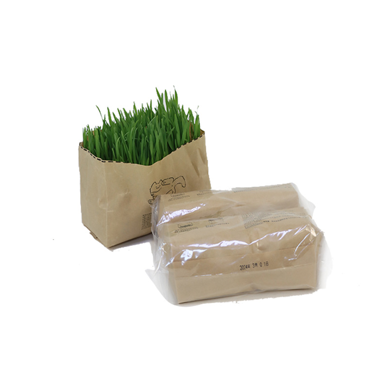 Nuevo producto pasto para gatos perezoso, trigo, cultivo sin suelo, bolsa de pasto para gatos, cabello para ayudar a la digestión, bocadillos para gatos, pasto para gatos al por mayor