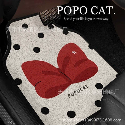 Avtomobil döşəmə paspasları — driving mat