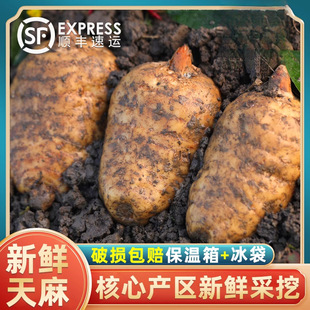 ��Ş��С��5g�ڰlҰ������������ͨ���r�݉����