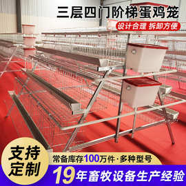 阶梯蛋鸡笼三层阶梯式白槽蛋鸡笼子鸡舍养殖场家用自动滚蛋养殖笼