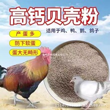 �a�}�ѹ�ι�u���Z�����J�����}ĵϠؐ���۷��ĵ������������