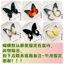 ������˱��[��͸���н̌W��Ʒ�����YƷ�Ĕz���߄����ֹ�diy�b�