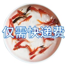 2P80��ˮ�ݽ��^�p�~С���~���B�ͻ�С�~����~�ԁ�ˮ���~�\������