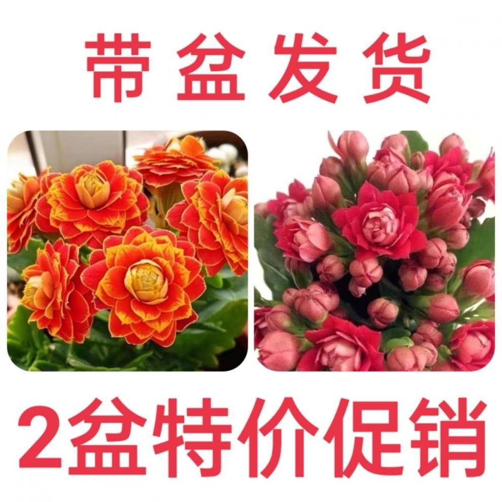 82a44755-bc34-42ff-a175-3c9efda5e908.jpe