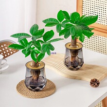 ���Iһ��һ��ˮ��lؔ����˺��B�m���k������͏d�[��ˮ��ֲ��