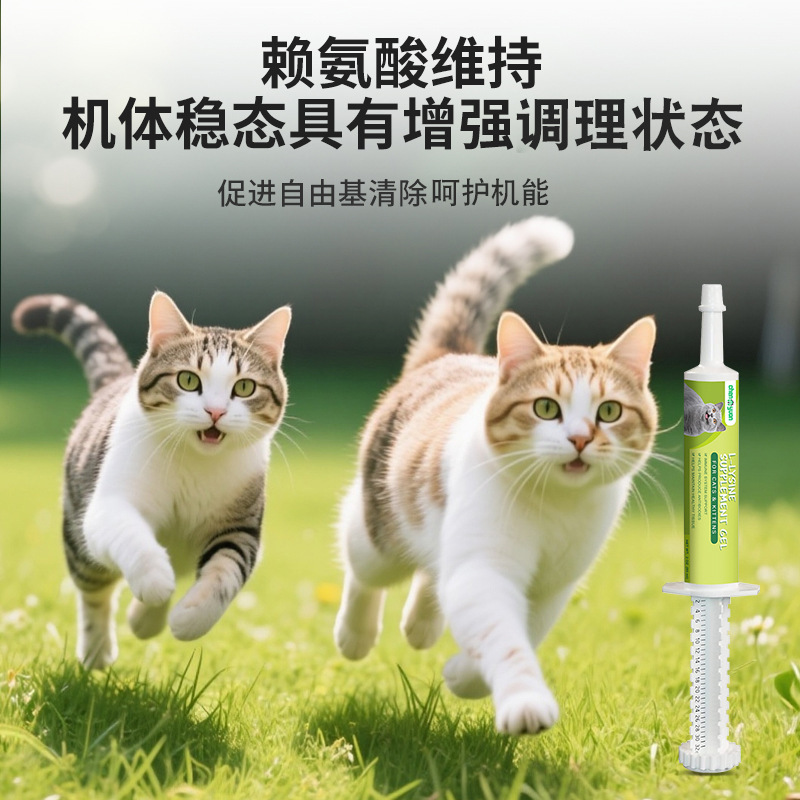 Cross-Border Amazon Pet Lysine Nutritional Paste Relieves Cat Nasal Congestion Nutritional Supplement Health Care Product