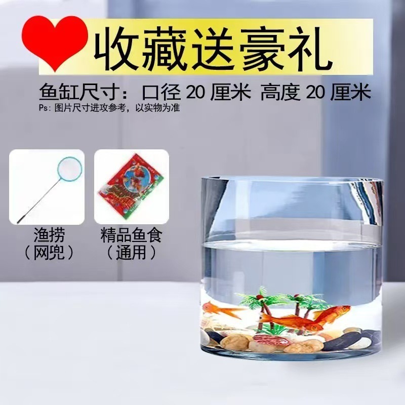 ラウンド水槽円筒形金魚水槽ガラスデスクトップリビングルーム透明小型家庭用カメストレート生態造園水槽|undefined