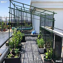 ���ټܑ���Ժ�� ���ѼܗU ������� ͥ���Ѽ��ӽM�b ���پW����