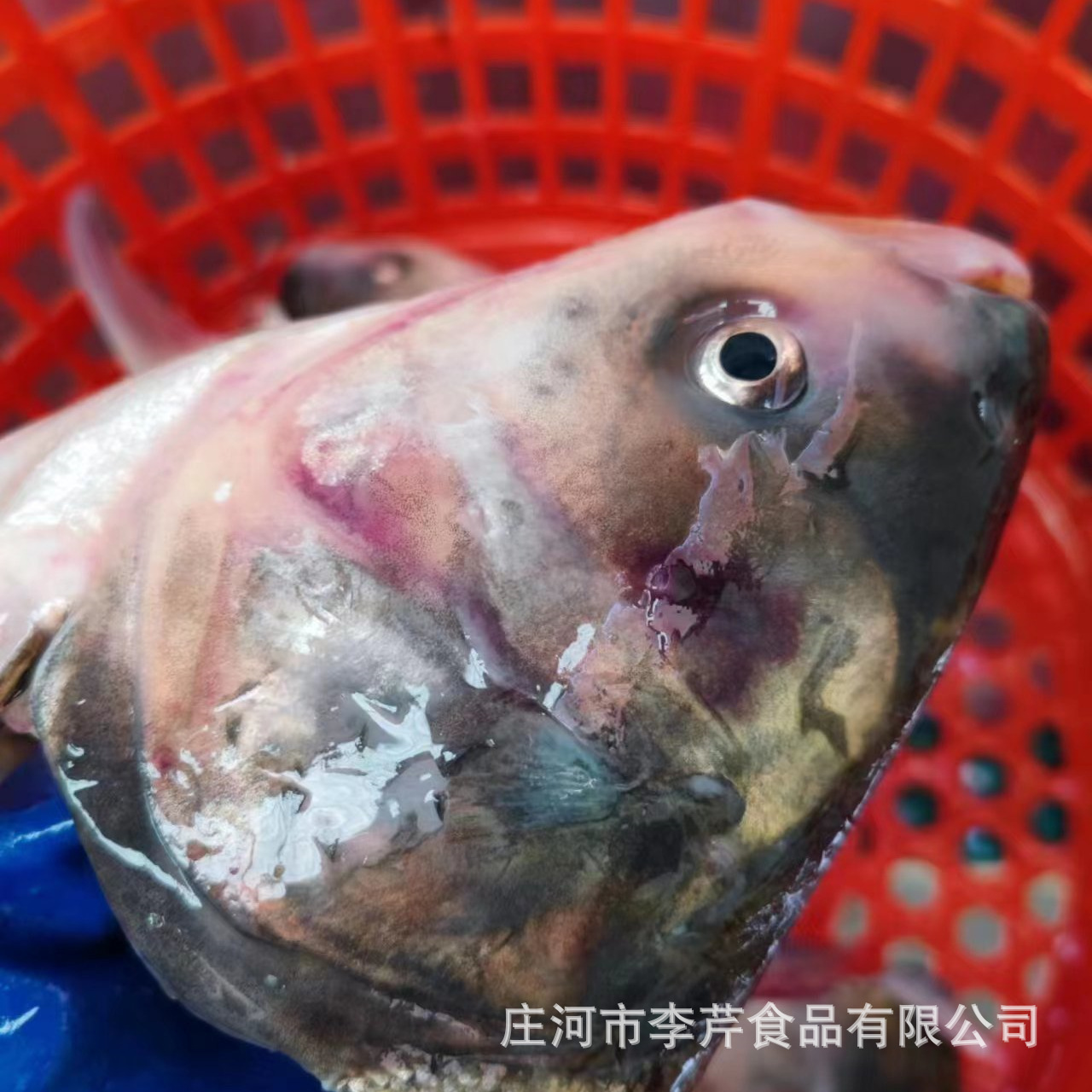 微信图片_20230124173313