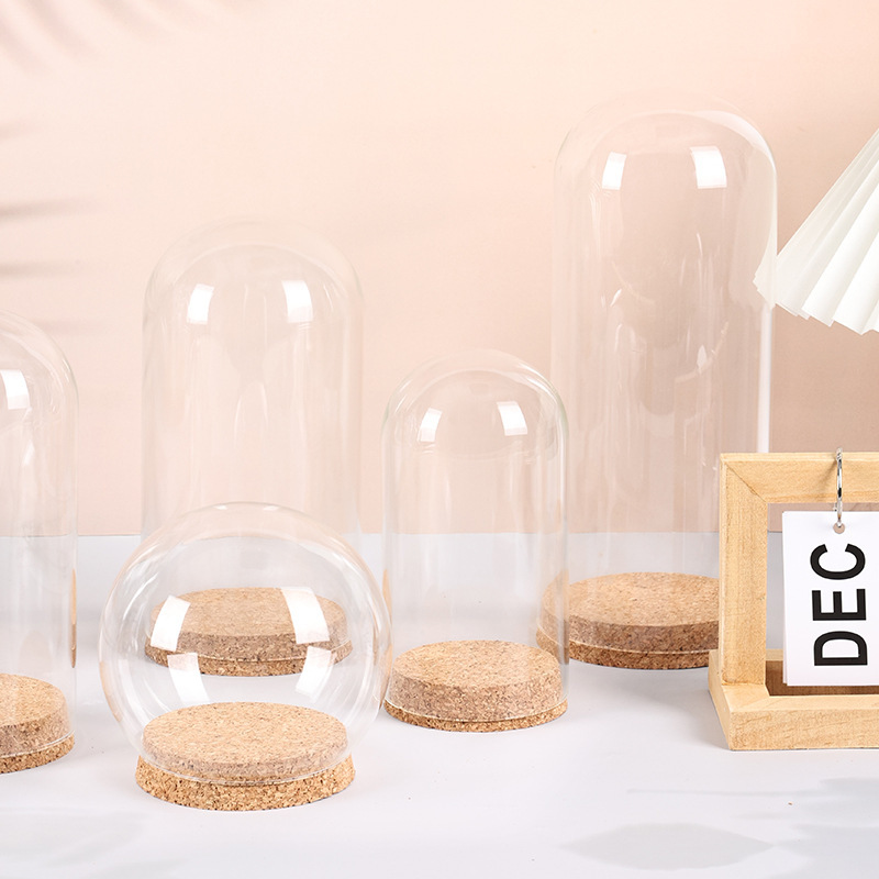 Ins Style Eternal Flower Glass Cover Cork Base Cover Creative Decoration Transparent Dustproof Glass Display Cover