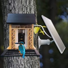 新しいバードウォッチャーにはカメラが内蔵されており、低消費電力のWifiカメラ、太陽光充電、長時間スタンバイでバードウォッチングが可能です。
