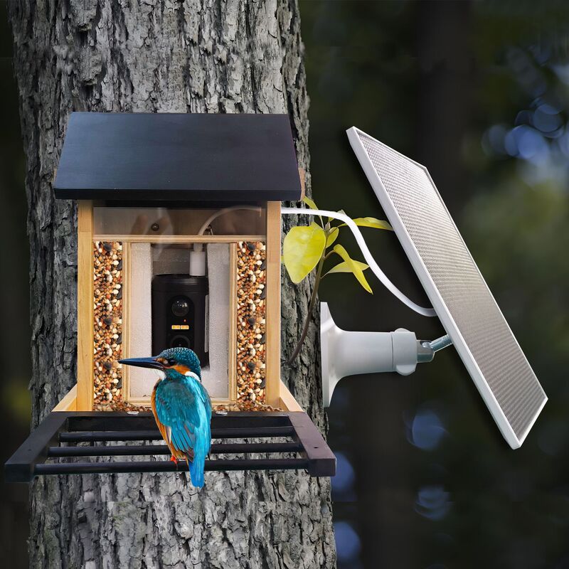 鳥の餌やりと観察用の低消費電力Wifiカメラ、太陽光充電、鳥の動きで録画開始、リモート録画|undefined