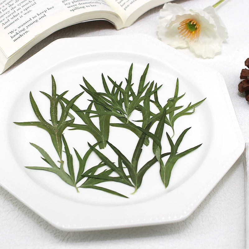 Feiyan лист сухой цветок тиснение diy закладка капля клей креативная фоторамка чехол для телефона образец растения