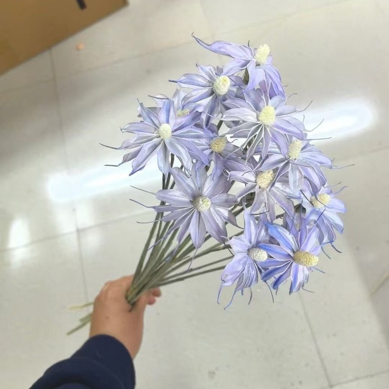 文心蘭のプリザーブドフラワー、天然植物の手作りホームデコレーション、フラワーアレンジメント、小清新な工場製プリザーブドフラワー|undefined