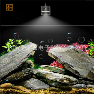 Zaohetian 100W High Translucency High Power Full Spectrum Fish Red Water Clear Stream Tank Goldfish Tank Algae Explosion Downlight