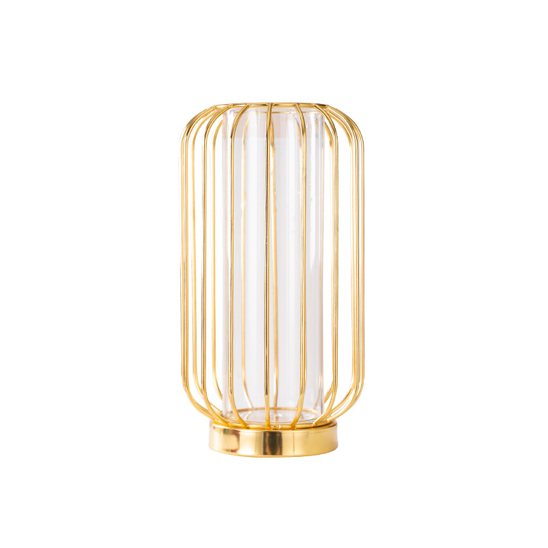 Fábrica al por mayor venta caliente florero ins estilo de hierro en forma de linterna florero hidropónico Luz de lujo de hierro florero de vidrio hogar