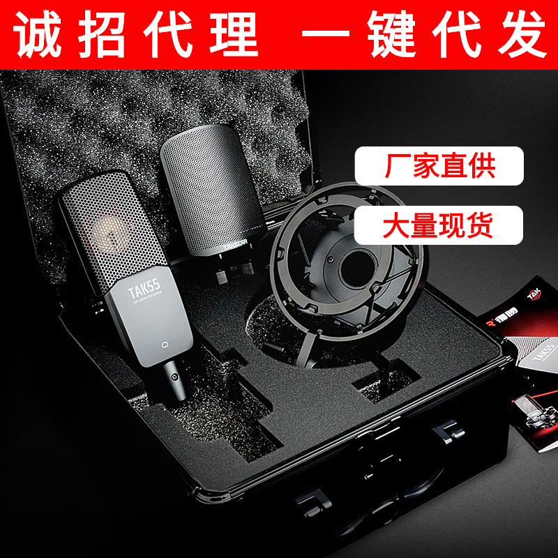 Takstar/ Win TAK55 Capacitance Microphone microphone anchor live broadcast Lo-fi computer Sound recording equipment