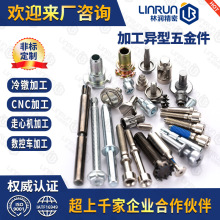 冷镦非标螺丝高精度紧固件 非标螺母螺栓 订做异形五金非标紧固件