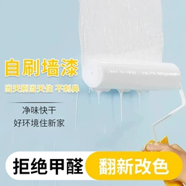 地坪漆;外墙涂料;金属漆