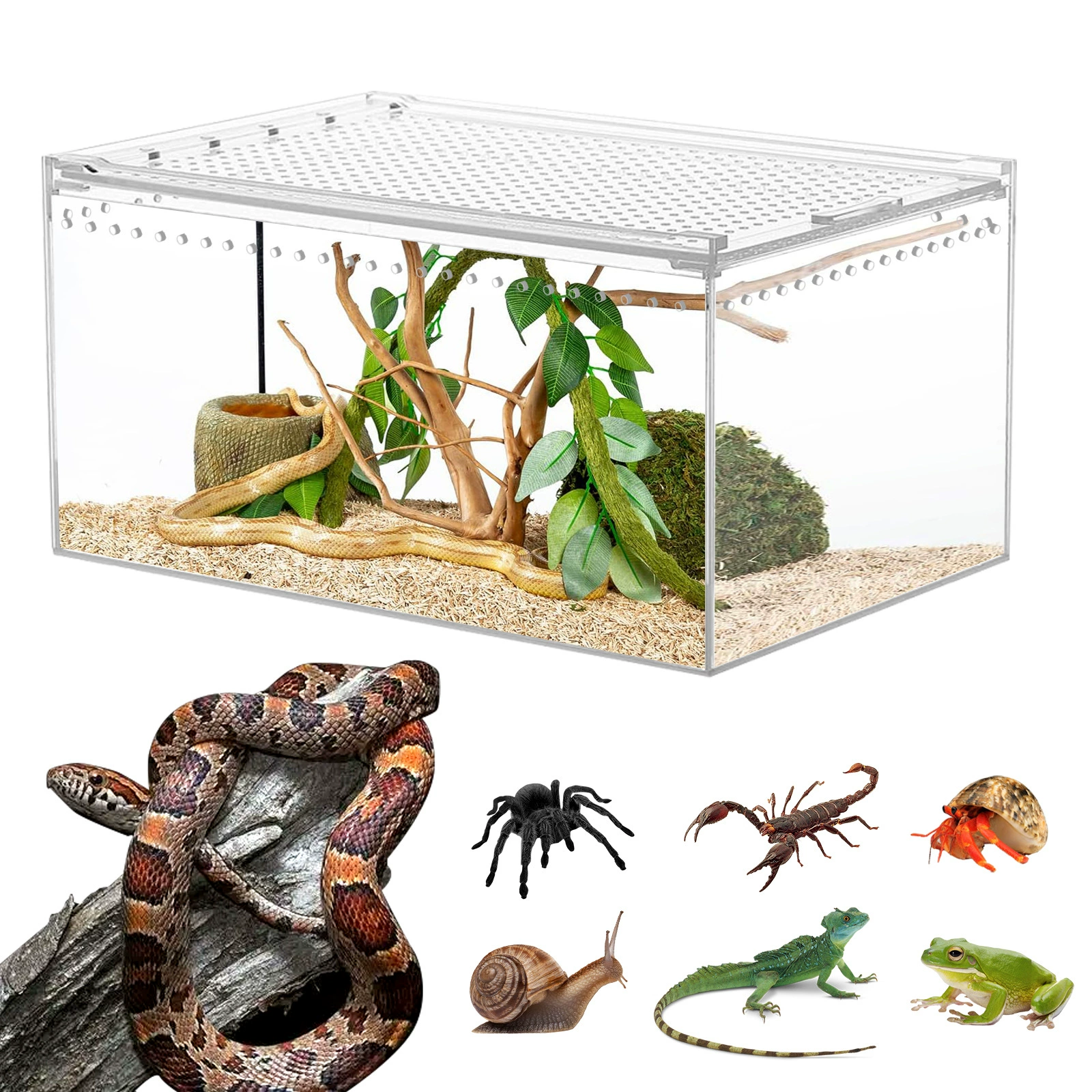 Акриловый террариум для разведения пауков 8* 4*4inch с магнитным утолщенным дном для гекконов и рогатых лягушек, аквариум для амфибий