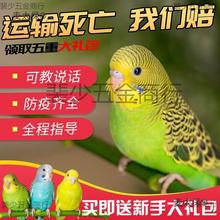 ��Ƥ�W�^���B��С�͕��fԒ�Č����B�������B���P���BС�B�B������