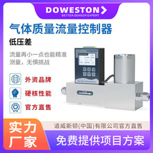 气体质量流量计 自动校准 道威斯顿 实时数据监控 测量精度高
