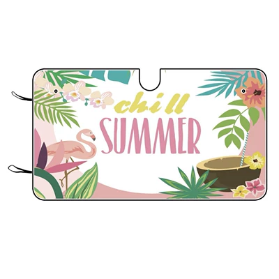 Car Front Windshield, Sun shade