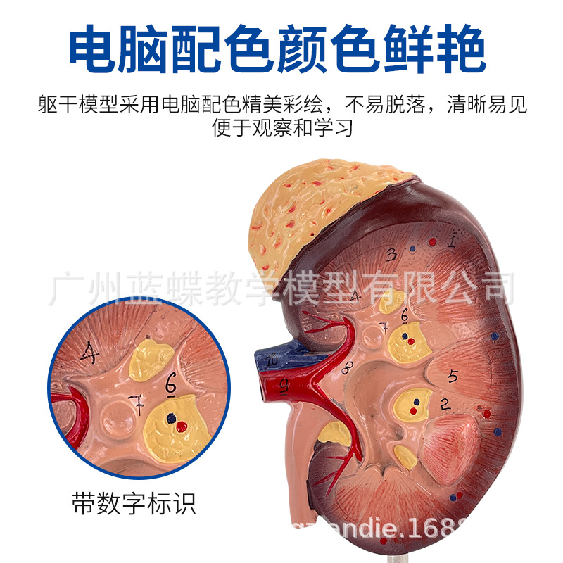 2���Ŵ�����Ŵ�ģ�� �Ŵ�� ������ģ�� 1���� �����������ģ��