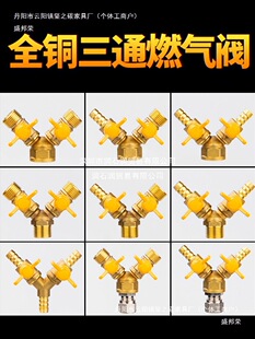 �S��ֱ�Nȫ�~ȼ���y ��Ȼ����ͨ�y�T 4��Y��һ�ֶ�ú��Һ����ܵ�