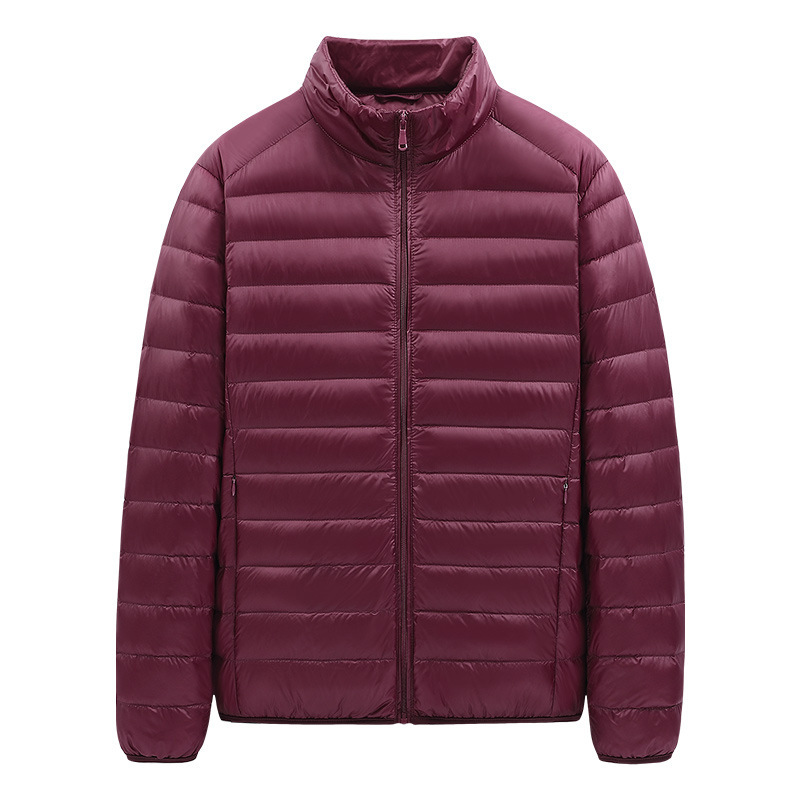 Short fashionable men's down jacket