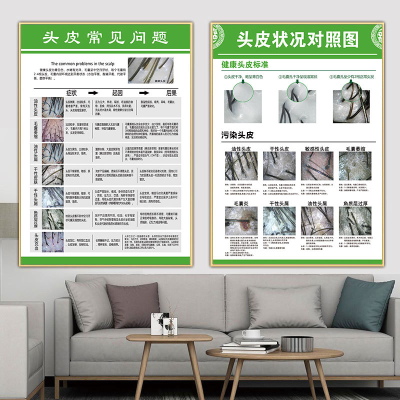 头皮毛囊检测图片生发护理海报宣传画毛发结构图广告脱发等级挂画