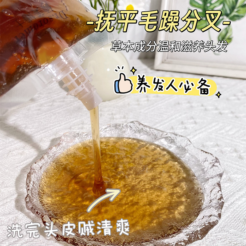 Champú Nutritivo de Cordyceps Anticaspa, Control de aceite para Cabello image 5