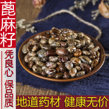 ������ ��������ș�����r��؛500g���]���� �����ѷN�� �t������