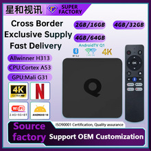跨境新款H313安卓10.0双频智能语音播放器ATV网络机顶盒外贸TVBOX