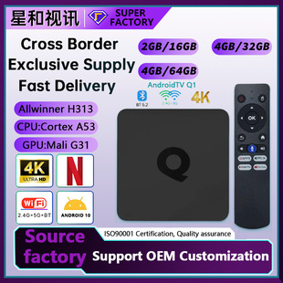 Cross-Border New H313 Android 10.0 Dual-Band Smart Voice Player Atv Network Set-Top Box Export Tvbox