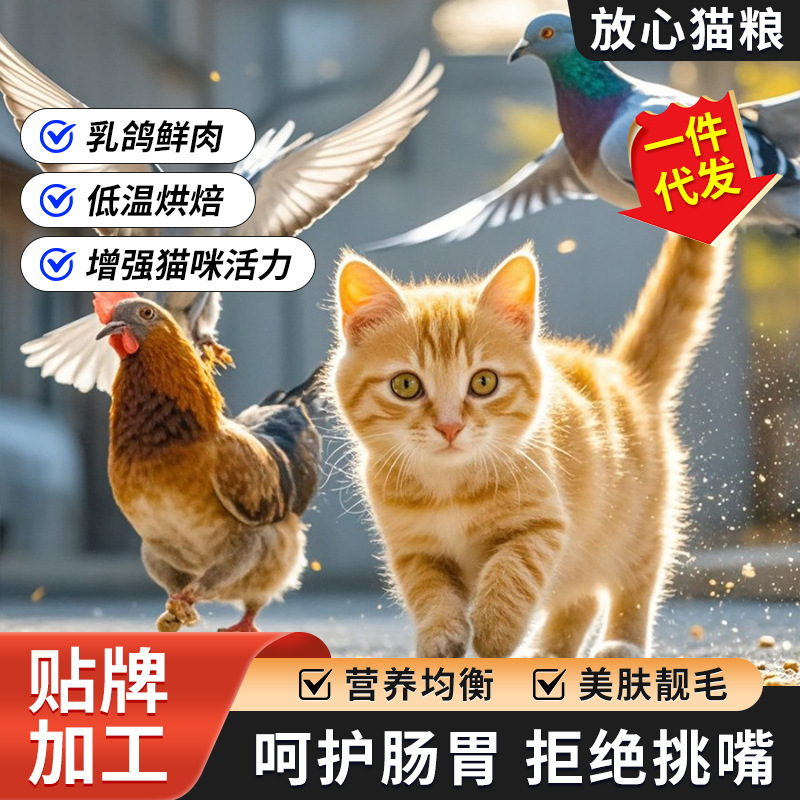 Full-Price Cat Food, Grain-Free, Baked Pigeon with Fresh Meat, Freeze-Dried, High-Protein, Suitable for All Ages, Pet Food, Complete Nutrition for Cats