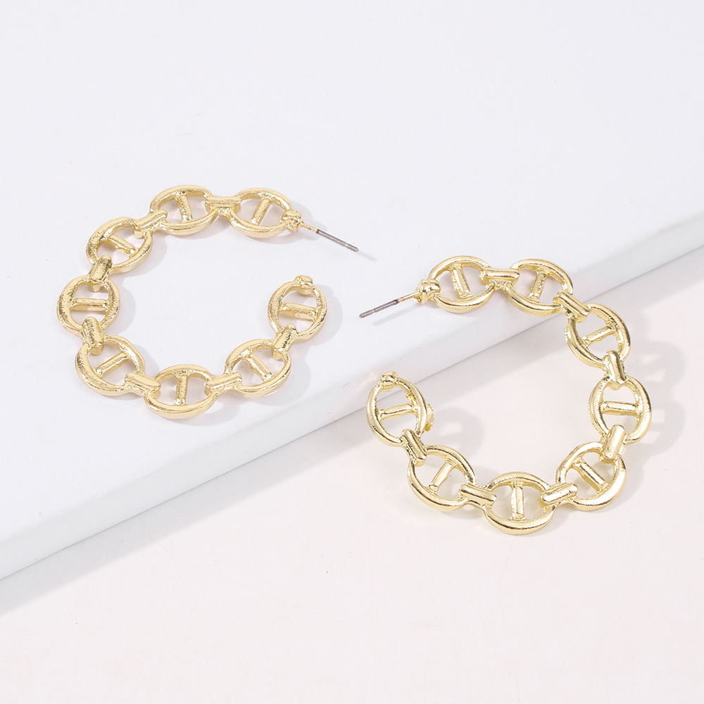 Simple Fashion Chain Exaggerated Geometric Earrings display picture 2