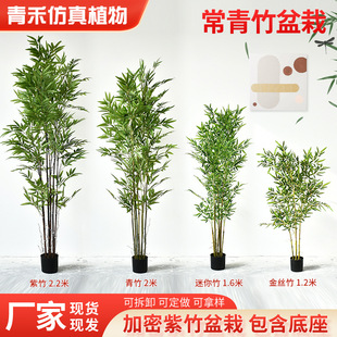�ɲ�ж�����������Գ�������p�ż���ë�����������쾰���~�b�