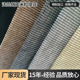 现货供应法兰绒玉米粒提花面料  家纺宠物用品玩具玉米粒毛绒布料