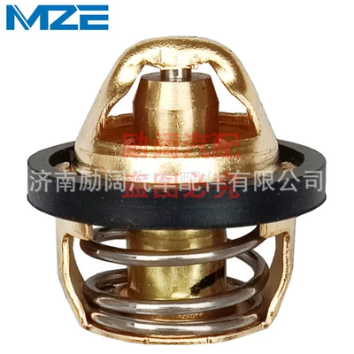 Versys-X300, Kawasaki Thermostat