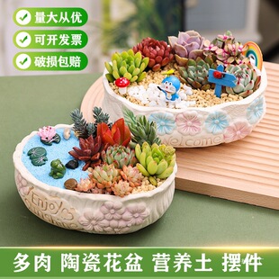 ����ֲ��M�������ײ��մ����쾰С�[������΢���^DIY�ֹ����ϰ�