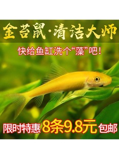 ��̦��Ꭷ�^�p�~��������~�~�׳����~�坍�~���w�����~�������~