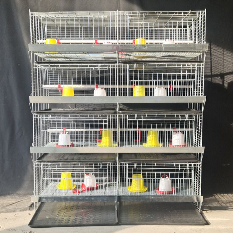 广旺丝网  加粗加密弹簧门雏鸡笼 立式四层幼鸡笼 铁丝小鸡笼镀锌