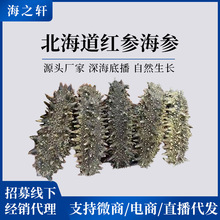 �������t�����ɺ�����؛ɢ�b�P�|�������ɺ�����؛���l�����Y��