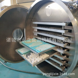 FD冻干 诸城食品机械低温真空冷冻干燥机 全自动脱水设备冻干机器