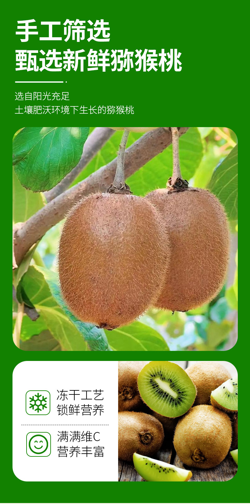 Freeze-Dried Kiwi Slices (Actinidia chinensis) — Crisp Fruit Snack, 120g Jar quality and texture
